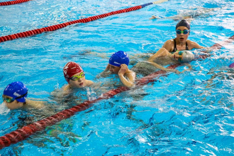Польза плавания для детей и взрослых. Снаряжение для плавания
